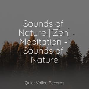 Sounds of Nature | Zen Meditation - Sounds of Nature - Guided Meditation