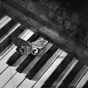 Silent Hill Piano Versions - Iron Reich