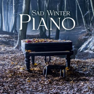 Sad Winter Piano: Melancholy Mood, Emotional Piano Atmosphere, Depressing Piano Music, Winter Nostalgia - Sad Music Zone