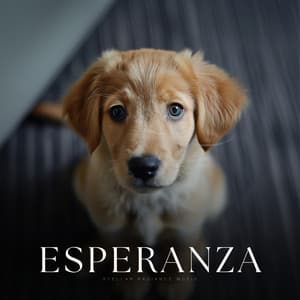Esperanza - Hora de la Música del Perro