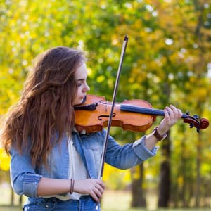 Harmonic Hammock: Music For Leisurely Relaxation - Music for Quiet Moments