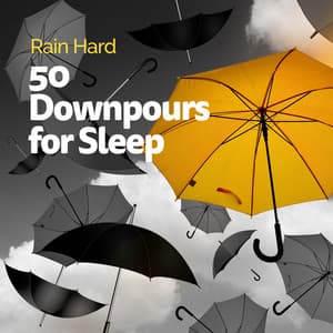 50 Downpours for Sleep - Rain Hard
