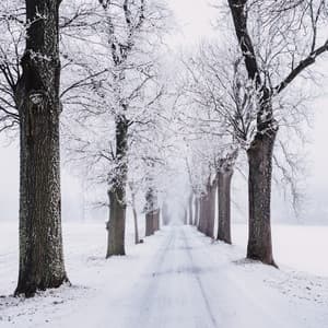 Copyright Free Lofi Beats for Streamers, Vol. 2 - Copyright Free Lofi