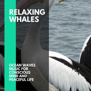 Relaxing Whales - Ocean Waves Music for Conscious Mind and Peaceful Life - Incredible Oceans