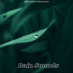Rain Sounds - Rain Sounds For Sleep