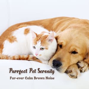 Purrfect Pet Serenity: Fur-ever Calm Brown Noise - Brainbox