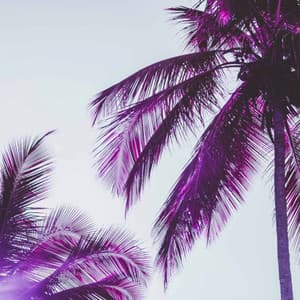 Jazz Piano Duo - Background for Periodic Times - Night Time Jazz Culture