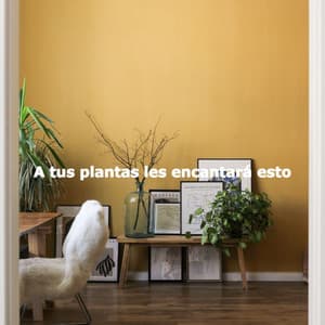 A tus plantas les encantará esto - Office Music Vibes