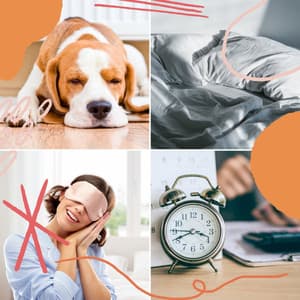 Smooth Background Music for Sleeping In - Spa Music Hour