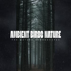 Ambient Birds Nature - The Nature Soundscapes