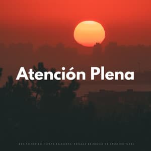 Meditación Del Viento Relajante: Ráfagas Melódicas De Atención Plena - Serenidad Academy