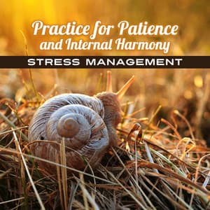 Practice for Patience and Internal Harmony: Stress Management - Stress Relieving Music Consort