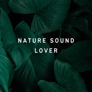 Nature Sound Lover - Elements of Nature