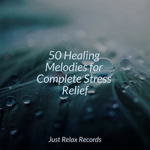 50 Healing Melodies for Complete Stress Relief - Forest Sounds