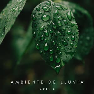 Ambiente De Lluvia Vol. 2 - Yoga & Meditación