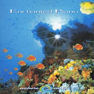 Enchanted Piano - Enchanted Piano