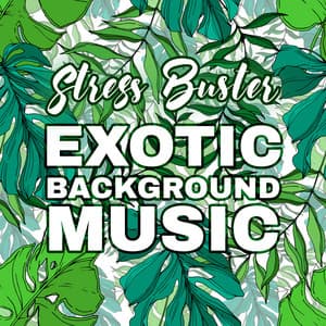 Stress Buster: Exotic Background Music and Relaxation Nature, Floating on a Cloud Relaxation - Exotic Nature Kingdom