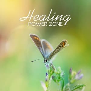 Healing Power Zone: Top 50 Music for Meditation, Yoga, Relaxation & Spa, Nature Zen Sounds to Reduce Stress, Music Therapy - Body Soul Music Zone