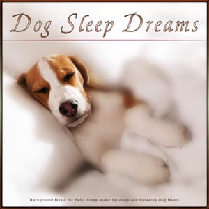 Dog Sleep Dreams: Background Music for Pets, Sleep Music for Dogs and Relaxing Dog Music - Dog Sleep Dreams