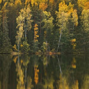 Serene - Uyku Müzik