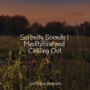 Serenity Sounds | Meditation and Chilling Out - Spa