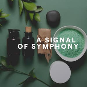 A Signal of Symphony - Easy Ambient Mind Body Soul Healing Meditation Music