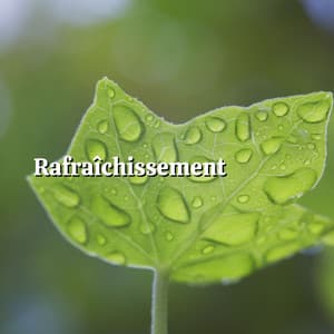 Rafraîchissement - Chute de Pluie