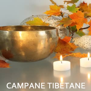 Campane Tibetane - Meditazione e Musica Tibetana, Musica per Meditare - Buddha Virtue