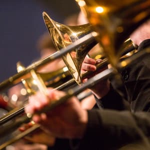 Soft Orchestra: Symphony of Calm - Jose Garcia