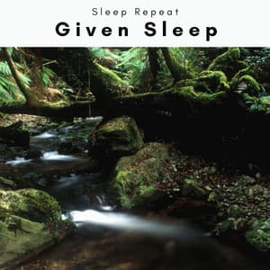 A Given Sleep - Sleep Repeat