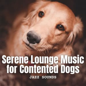 Jazz Sounds: Serene Lounge Music for Contented Dogs - Soft Acoustic Jazz