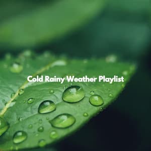 Cold Rainy Weather Playlist - Soft Jazz Playlist