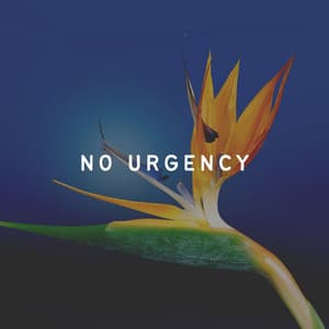 No Urgency - Plant Music
