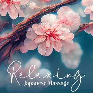 Relaxing Japanese Flow of Touch - Marion Francois