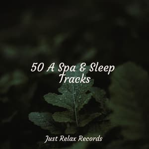 50 A Spa & Sleep Tracks - Baby Songs & Lullabies For Sleep