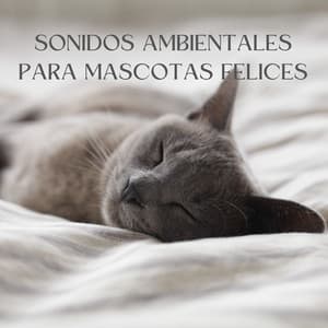 Refugio De La Naturaleza: Sonidos Ambientales Para Mascotas Felices - Tranquilidad Eterna