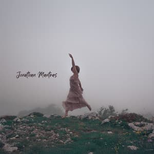 Subtle Field Alignment - Jonathan Mantras