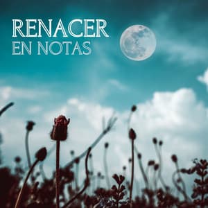 Renacer en Notas: Terapias de Sonido para el Alma y el Crecimiento Personal - Musicoterapia New Age