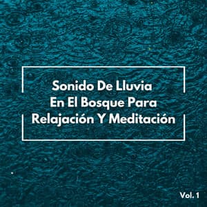 Sonido De Lluvia En El Bosque Para Relajación Y Meditación Vol. 1 - Relajación Lluvia Meditación