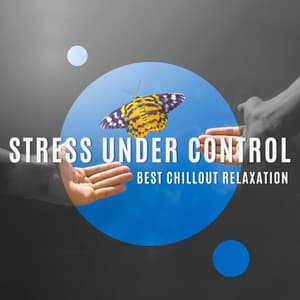 Stress Under Control - Best Chillout Relaxation: New Age Chillout Lounge Music, Stress Relief and Healing Background Sounds - Sweet Music Relaxation