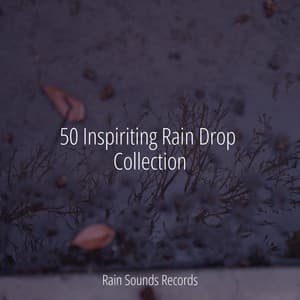 50 Inspiriting Rain Drop Collection - Nature Sounds Nature Music