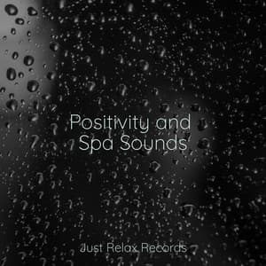Positivity and Spa Sounds - Zen