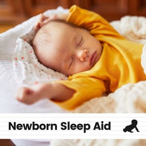 Newborn Sleep Aid - Baby Nap Time