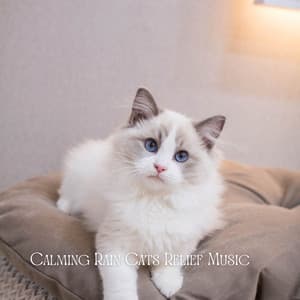 Calming Rain Cats Relief Music - Chill My Pooch