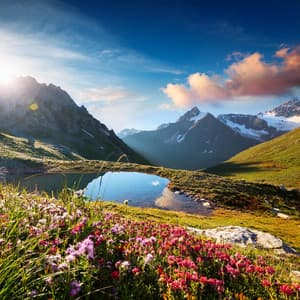 Sonidos De Relajación: Armonías Tranquilas Para La Calma Vespertina - musica para el sexo