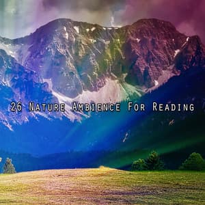 26 Nature Ambience For Reading - Nature Sounds - Sons de la nature