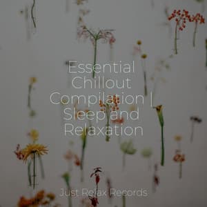 Essential Chillout Compilation | Sleep and Relaxation - Calm Music for Studying