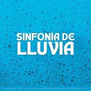 Sinfonía De Lluvia: Sonidos De Lluvia Para Una Meditación Tranquila - Lluvia en el Bosque