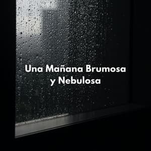 Una Mañana Brumosa Y Nebulosa - Llovido
