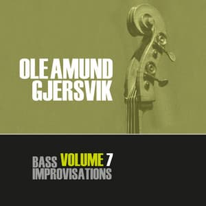 Bass Improvisations Volume 7 - Ole Amund Gjersvik
